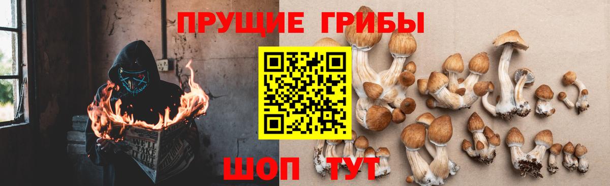 Галлюциногенные грибы прущие грибы  Псилоцибиновые грибы прущие грибы  Вход с VPN  Химки 